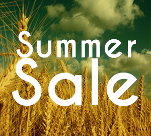 news-summerSale