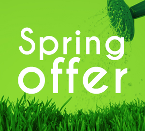 news spring Offer