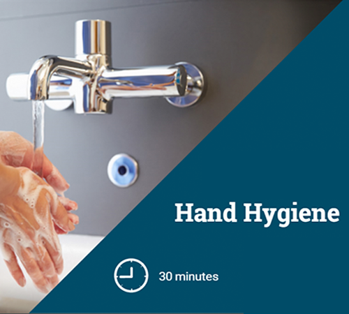 Hand Hygiene online course